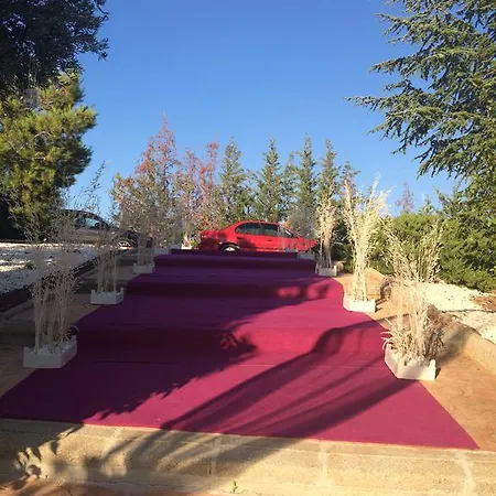 Landhuis Cigarral Del Pintor *