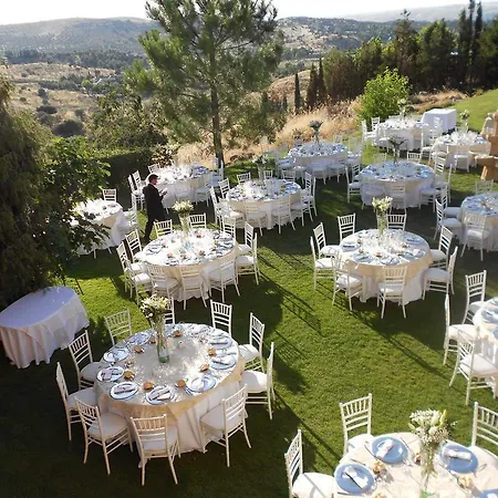 Landhuis Cigarral Del Pintor *